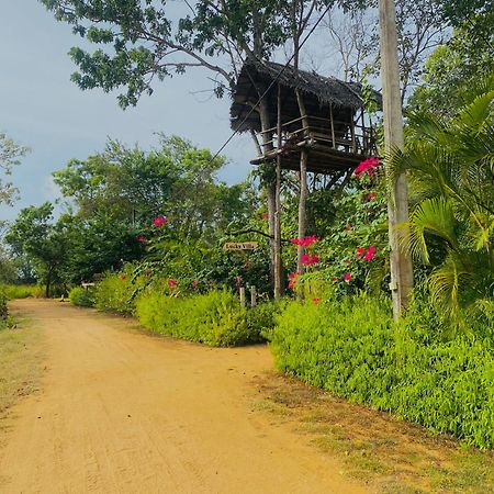 Lucky Villa シギリヤ エクステリア 写真