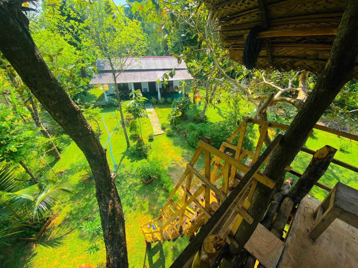 Lucky Villa シギリヤ エクステリア 写真
