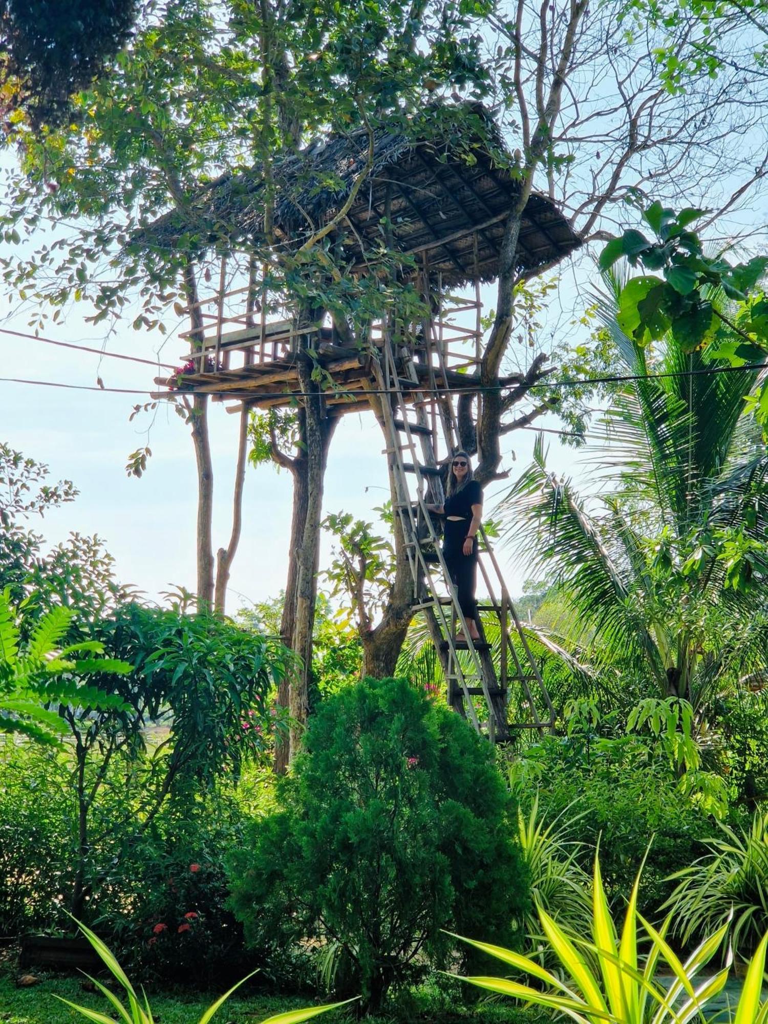 Lucky Villa シギリヤ エクステリア 写真