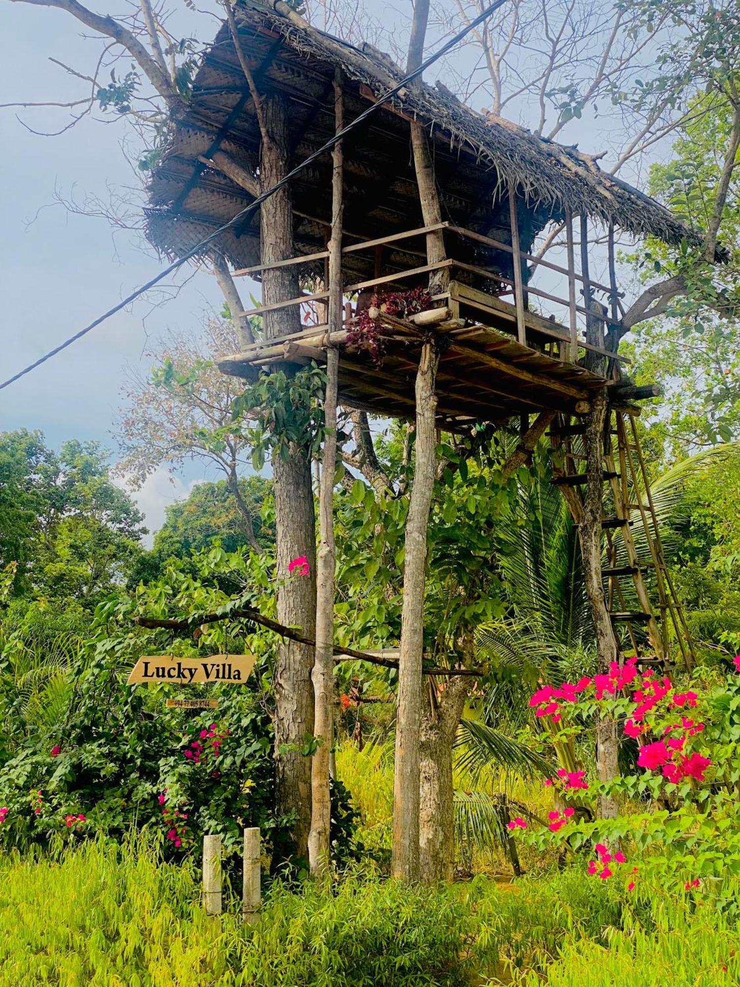Lucky Villa シギリヤ エクステリア 写真